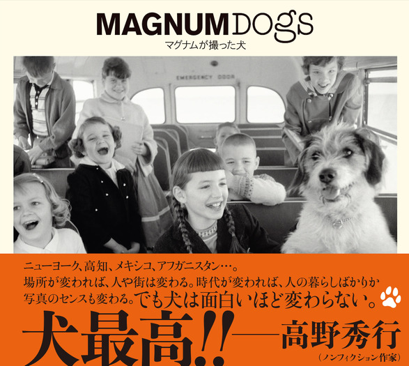 世界各地の 犬がいる風景 を集めた写真集 Magnum Dogs マグナムが撮った犬 刊行 動物のリアルを伝えるwebメディア Reanimal