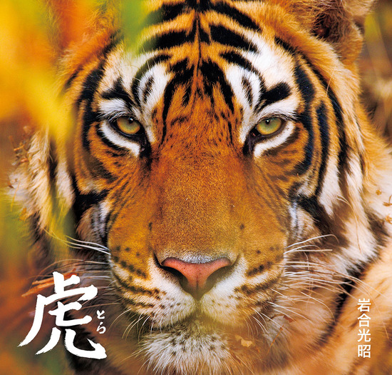 どら　ドラ　韓国無形文化作品　22\" 啓蟄OR化龍(日本語吹替版）中国ドラマ全話#短編ドラマ #アニメ