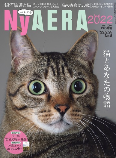 48 染付　のら猫様 Amazon | ふくべ屋 美濃焼 ねこちぐら小皿 10 cm - ハチワレ