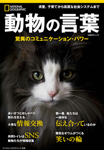 ナショナル ジオグラフィック 動物の言葉 驚異のコミュニケーション パワー を刊行 最新の研究結果を紹介 動物 のリアルを伝えるwebメディア Reanimal