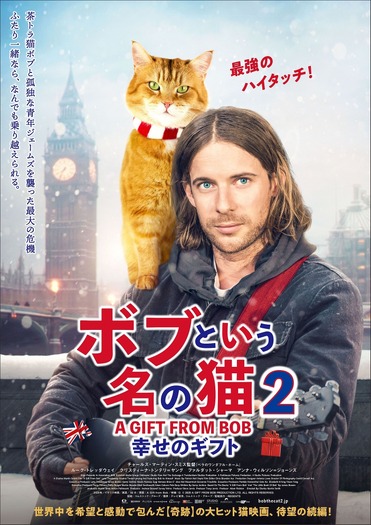 映画 ボブという名の猫2 幸せのギフト Blu Ray Dvdが発売 8月3日 動物のリアルを伝えるwebメディア Reanimal