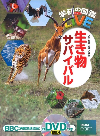 セール 動物 dvd