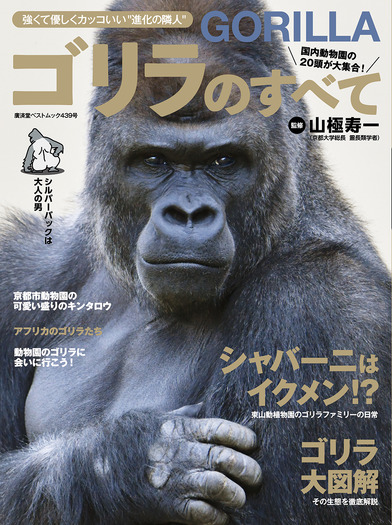 シルバーバッグゴリラ×3枚