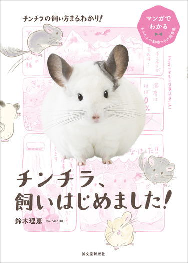 誠文堂新光社、“マンガでわかる”チンチラの飼育書を発売…4月10日