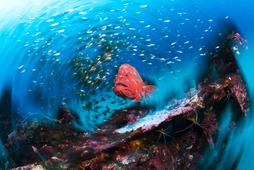 富士フイルム、企画写真展「海から見たニッポン」を開催…21年3月12日～4月1日 画像