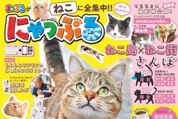 旺文社『にゃっぷる』の刊行日が決定、「まっぷる」と猫のコラボ本…1月29日 画像