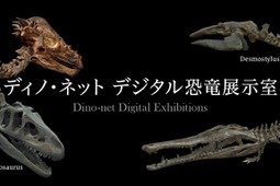 恐竜の骨格をVRで360度閲覧、「ディノ・ネット デジタル恐竜展示室」公開…国立科学博物館 画像