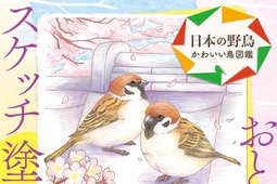 「おとなのスケッチ塗り絵 日本の野鳥 ～かわいい鳥図鑑～」、エムディエヌコーポレーションより刊行 画像