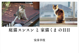猫をめぐる命の物語・写真集『庭猫スンスンと家猫くまの日日』、小学館より刊行 画像