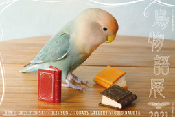 「鳥物語トリストーリー展 2021」、名古屋・東京で開催…テーマは“一瞬の美しさ” 画像