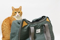 ネコリパブリック、「CAT 2WAY BOSTON BAG」を発売…売上の一部は保護猫支援へ 画像