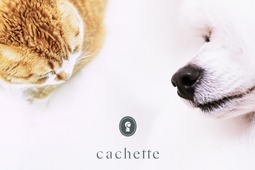 愛犬家・愛猫家のための会員制プラットフォーム「cachette」、リニューアルオープン 画像