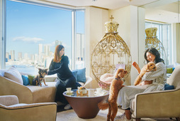 ホテル インターコンチネンタル 東京ベイに、ドッグフレンドリールーム＆ラウンジがオープン 画像