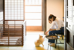 竹田城 城下町ホテル EN、「愛犬と過ごすお部屋食プラン」の予約受付を開始 画像