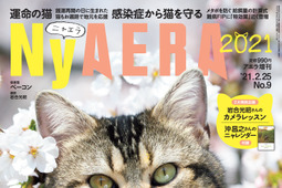 「AERA」が猫化した「NyAERA 2021」刊行…6冊目のテーマは「人生を変えた猫」 画像
