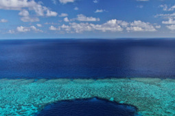 3月5日は「サンゴの日」、グレートバリアリーフを探検！リーフスポット トップ10を新発表 画像