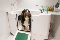 ナチュラルクリエイト、犬用温浴施設の事業者募集を開始 画像