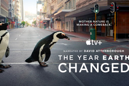 Apple、Apple TV+にて野生生物のドキュメンタリースペシャル「その年、地球が変わった」を公開…4月16日 画像