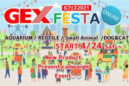ジェックス、オンライン展示会「GEX FESTA」を開催…5月31日まで 画像