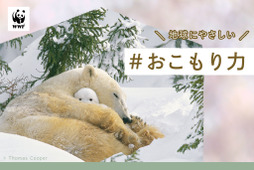 WWFジャパン、“おこもり”上手な動物を参考に自宅での過ごし方を提案…新型コロナ対策 画像