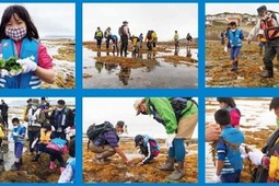 海藻について学ぶイベント「海藻の森探検～海と日本プロジェクト～」、函館にて開催…5月29日 画像
