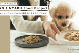 バイオフィリア、ペットフードロスを減らし保護犬を救う「WAN I NYARU food project」をスタート 画像