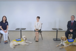 介助犬や思いやりのある交通社会について、ジュディ・オング氏×JAF坂口副会長が対談…JAF公式YouTubeで動画公開 画像