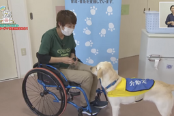 【介助犬フェスタ2021】介助犬の仕事や動物介在療法の取り組みなどをオンラインライブで紹介 画像