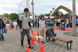 盲導犬のための募金、まもなく総額1億円に…ヤマハ発動機 画像