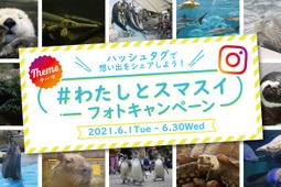 須磨海浜水族園での思い出写真や動物との触れ合い写真をInstagramで募集…「#わたしとスマスイ」 画像