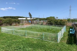 「Rabbit Park FUJISAWA」、夏期クローズ期間を利用した“国産生牧草の詰め放題”スタート…6月17日～9月30日の金・土・日 画像