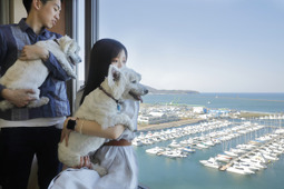 グランドパーク小樽、オーシャンビュールームに愛犬と泊まれる宿泊プラン「ドッグフレンドリールーム」の販売開始 画像