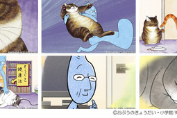 猫マンガ『俺、つしま』のTVアニメが放送開始…7月2日 画像