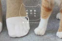 白いソックスを履いているような猫の足をイメージ、ネコリパブリックが新作靴下を発売 画像