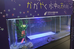 アクア・トト ぎふ、天の川を表現したテーマ水槽を設置…7月11日まで 画像