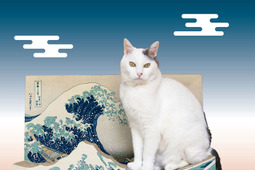 フェリシモ、「名画をたしなむ猫のつめとぎ」を発売 画像