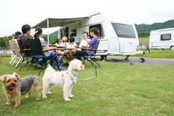 犬と泊まれるキャンプ施設「やまてらす」、三重県にオープン…7月15日 画像