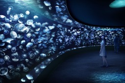 サンシャイン水族館でクラゲを満喫、リアル謎解きゲーム「虹色のクラゲと夜のさがしもの」開催…7月9日～9月7日 画像
