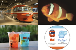 ロマンスカーミュージアム×新江ノ島水族館、「オレンジ色のロマンス展」開催…7月17日～7月30日 画像