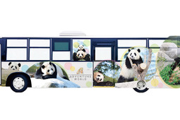 パンダの写真を全面フルラッピング、「パンダ白浜アドベンチャーバス」運行…8月9日から 画像