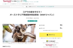 Yahoo!ネット募金、WWFジャパンとともにコアラの棲む森の再生を目指す募金窓口を開設 画像