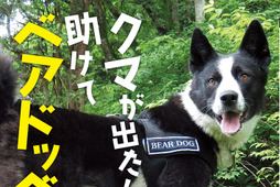 児童向けノンフィクション『クマが出た！助けてベアドッグ－クマ対策犬のすごい能力』、岩崎書店より刊行…9月15日 画像