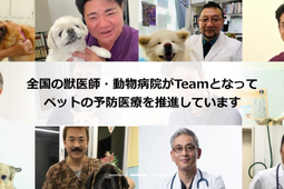 獣医師団体Team HOPE公式サイトがリニューアルオープン…ペットの予防医療の大切さを啓発 画像