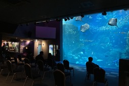「JAFフェスティバル関東 in 新江ノ島水族館」、11月13日に開催…申し込みは10月13日まで 画像