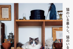 猫も人も心地よく暮らすインテリア15例を掲載、『猫のいる暮らし、猫のいる部屋』刊行…9月24日 画像