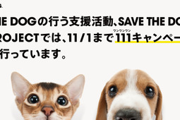 「THE DOG」公式WEBストア、11月1日までショッピングによる寄付額をアップ…Twitterでの取り組みも 画像