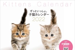 動画も見られるカレンダー「ずっといっしょ。子猫カレンダー2022」発売…主婦の友社 画像
