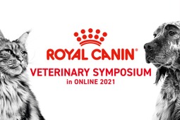ロイヤルカナン、獣医師・動物看護師向け学術セミナーを開催…テーマは「犬と猫のライフステージへ寄り添う」 画像