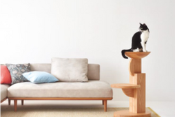 猫を愛でる家具「medel」発売…飛騨産業と設計事務所imaがコラボ 画像
