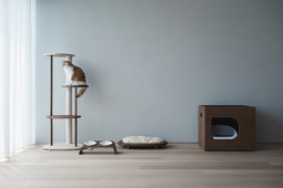 愛猫・愛犬と心地よく暮らせる「ペット用家具」をサブスクで…KARIMOKU CATもラインナップ 画像
